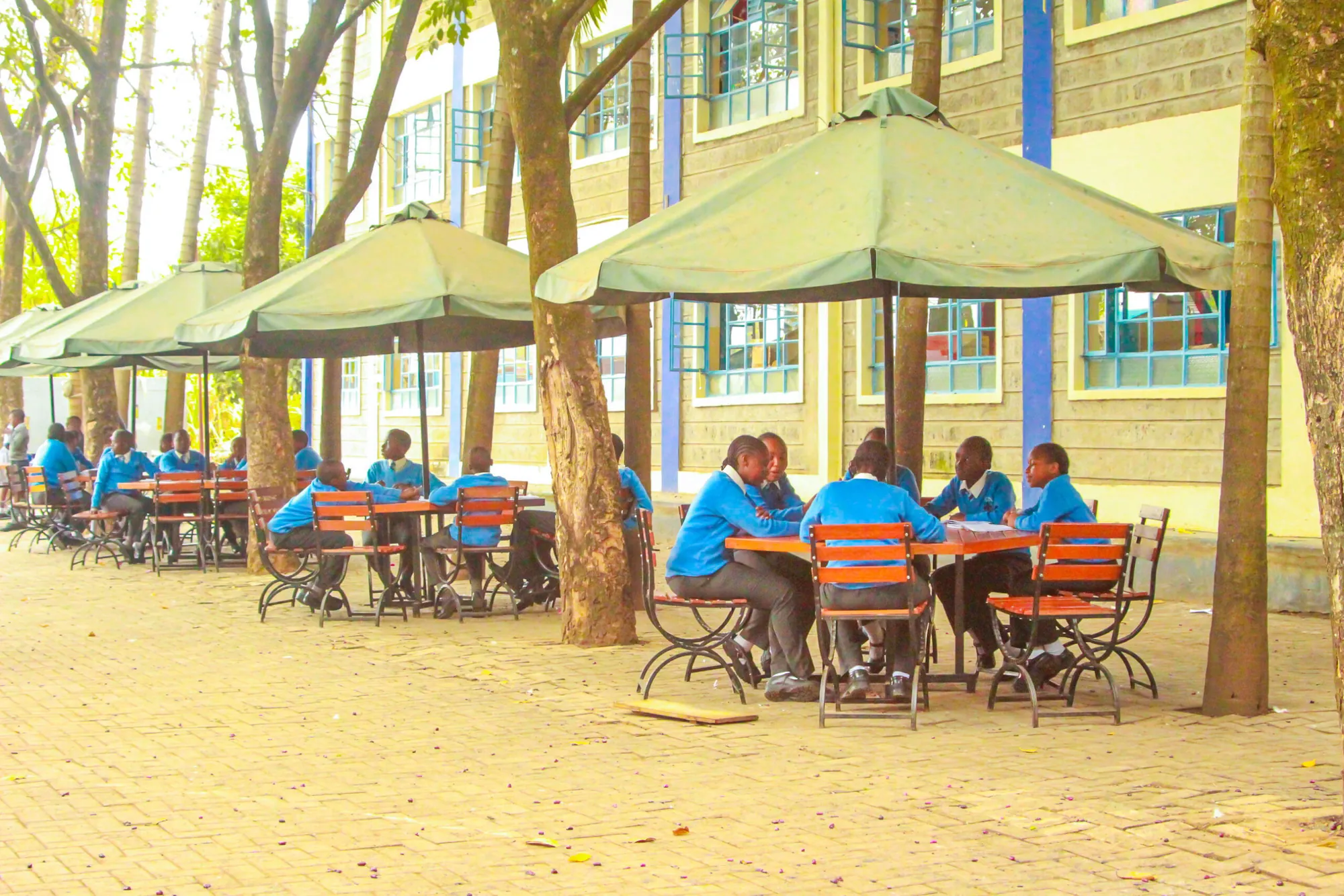 Pupils eating at outdoor tables under green umbrellas